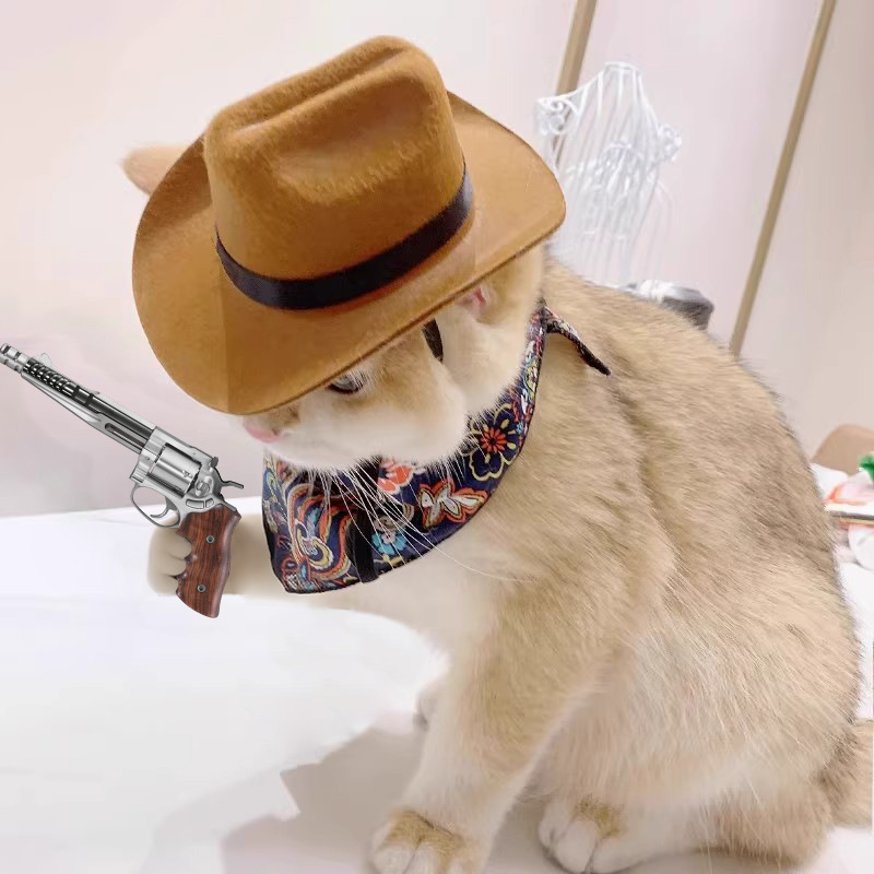    Kat Cowboyhoed Huisdier Ho - Cowboy Hat Straw recensie en prijs