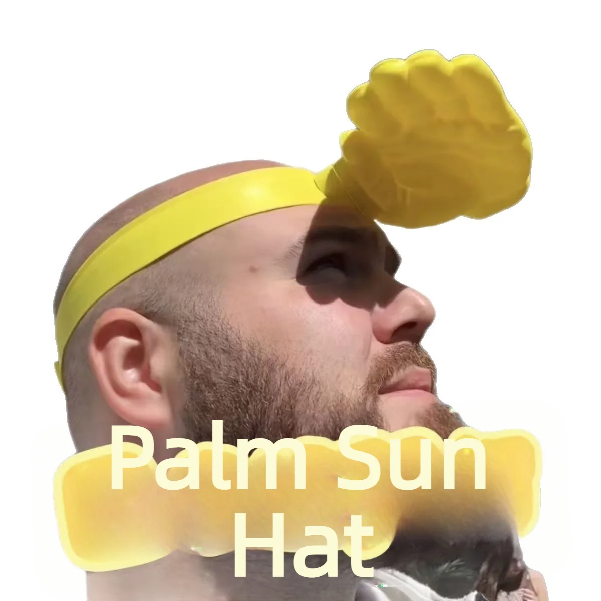 1/3 Stuks Nieuwigheid 3D Palm  - Visor Sun Hat recensie en prijs